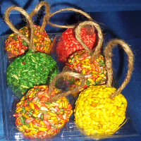 Edible Hanging Bird Seed Ornaments